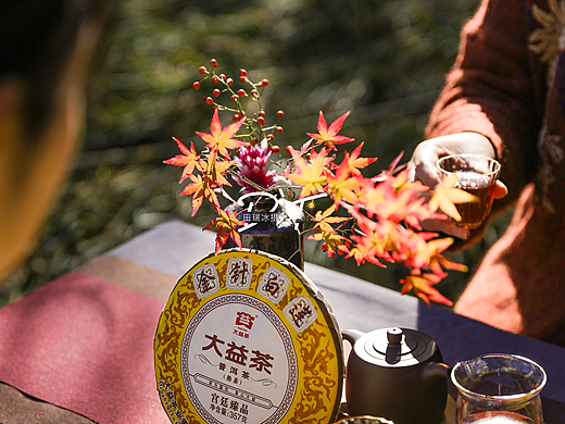 益以茶TEATAE金针白莲