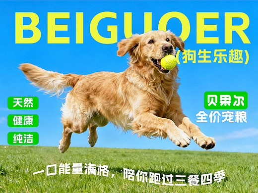 “BEIGUOER-贝果尔”狗粮包装全案设计