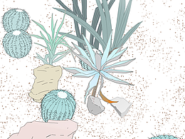花園秘境 