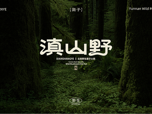 滇山野餐饮品牌设计系列一：云南菌子火锅 | VI设计