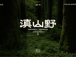 跨境电商视觉营销