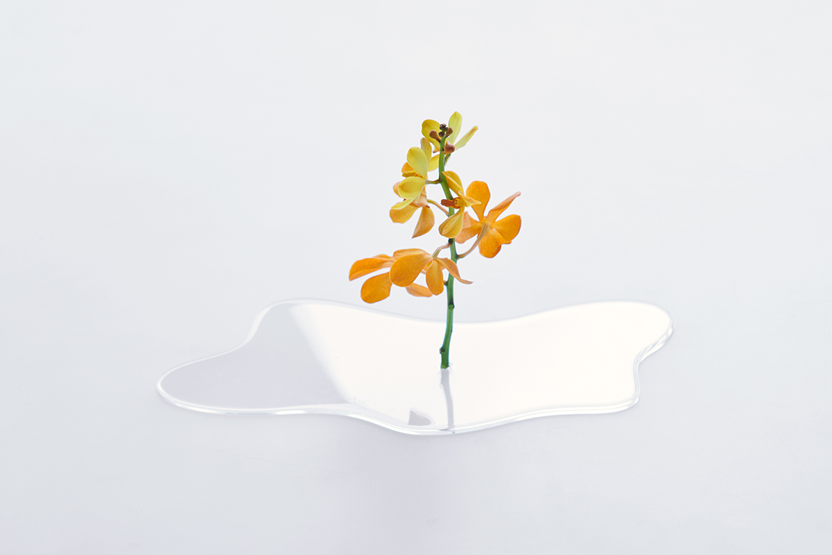 这居然是 花瓶（图ZMTUzMTg2Mjg=） - 资讯 - 站酷设计师站酷Loook原创素材 - 站酷ZCOOL