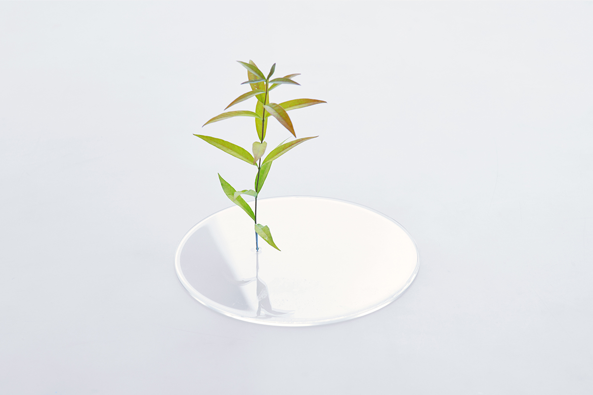 这居然是 花瓶（图ZMTUzMTg2MzI=） - 资讯 - 站酷设计师站酷Loook原创素材 - 站酷ZCOOL