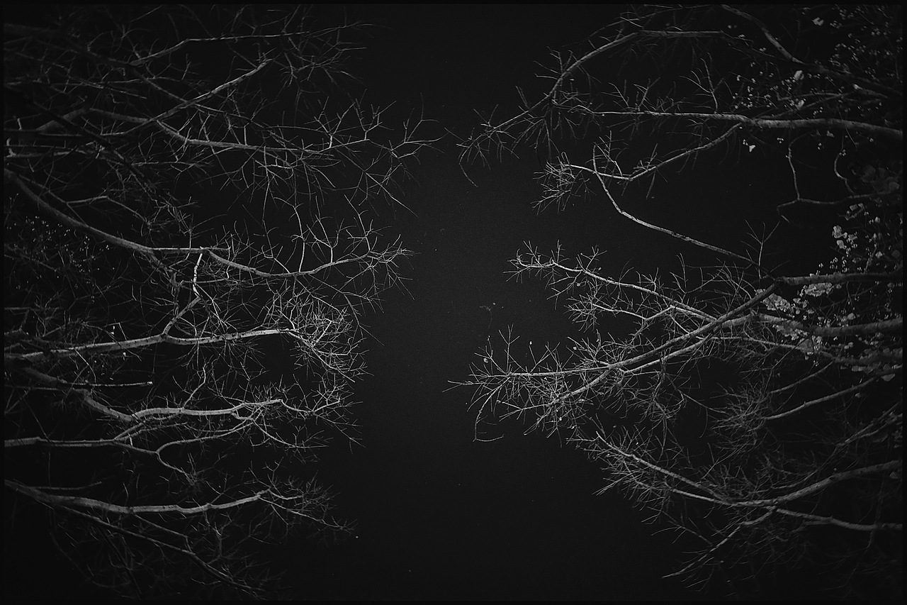 冬天的树是天然的艺术品｜黑白手机摄影（图ZMzk5NzkxMDc2） - 风光摄影 - 站酷设计师贺班永合原创素材 - 站酷ZCOOL