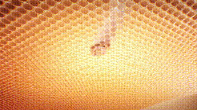 产品动画 | 射频美容仪