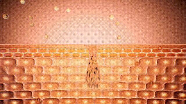 产品动画 | 射频美容仪