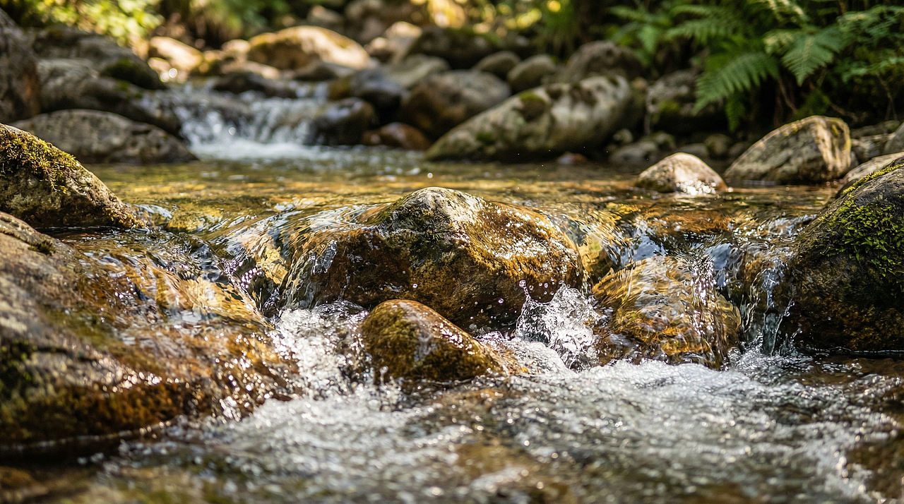 贵州茅台酒宣传短片