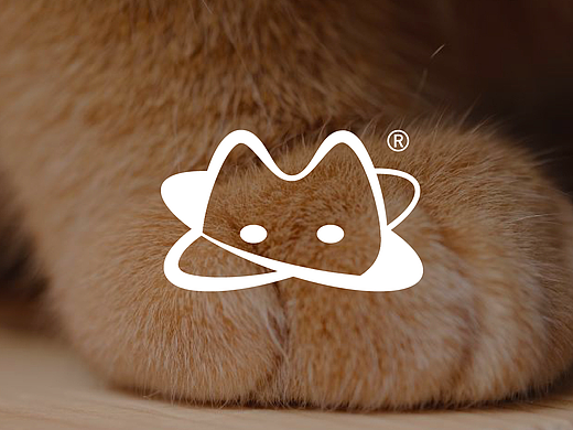 帕鲁计划·流浪猫直播互动平台