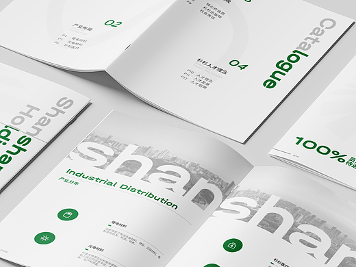 品牌宣传册全案：从视觉到内容的完整呈现 *2
