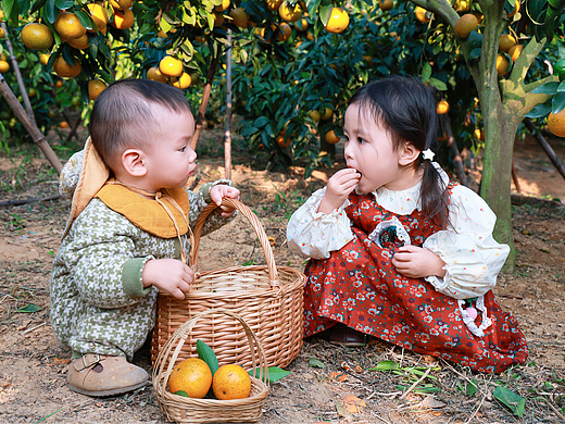 深圳甘坑砂糖橘采摘园 两个可爱的小宝宝