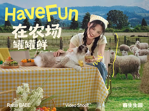 为初创宠物品牌拍摄短片是一种什么体验🐶🐱