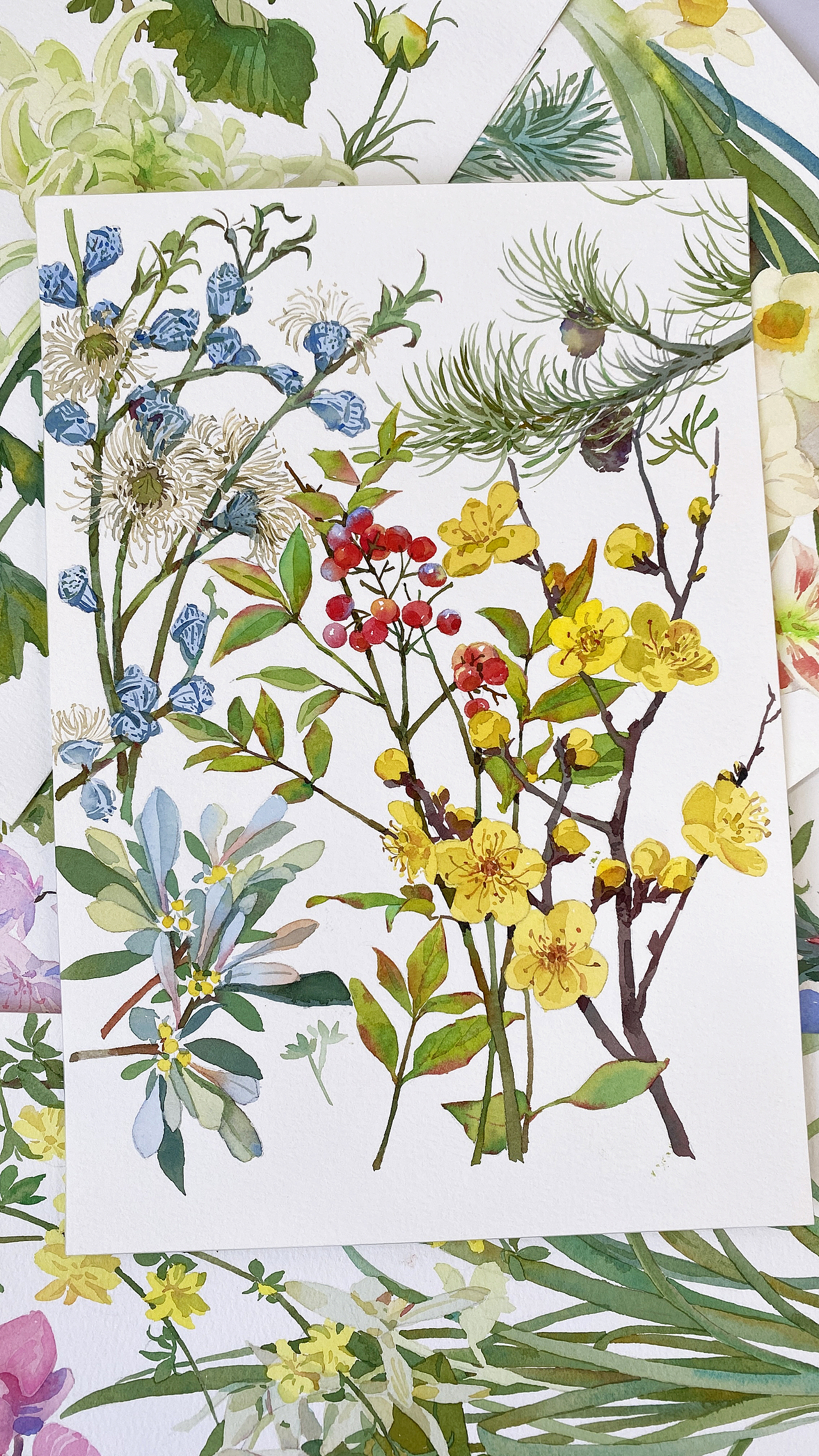 2026花卉月历（图ZMzk5ODc3OTc2） - 绘画 - 站酷设计师微光星星啊原创素材 - 站酷ZCOOL