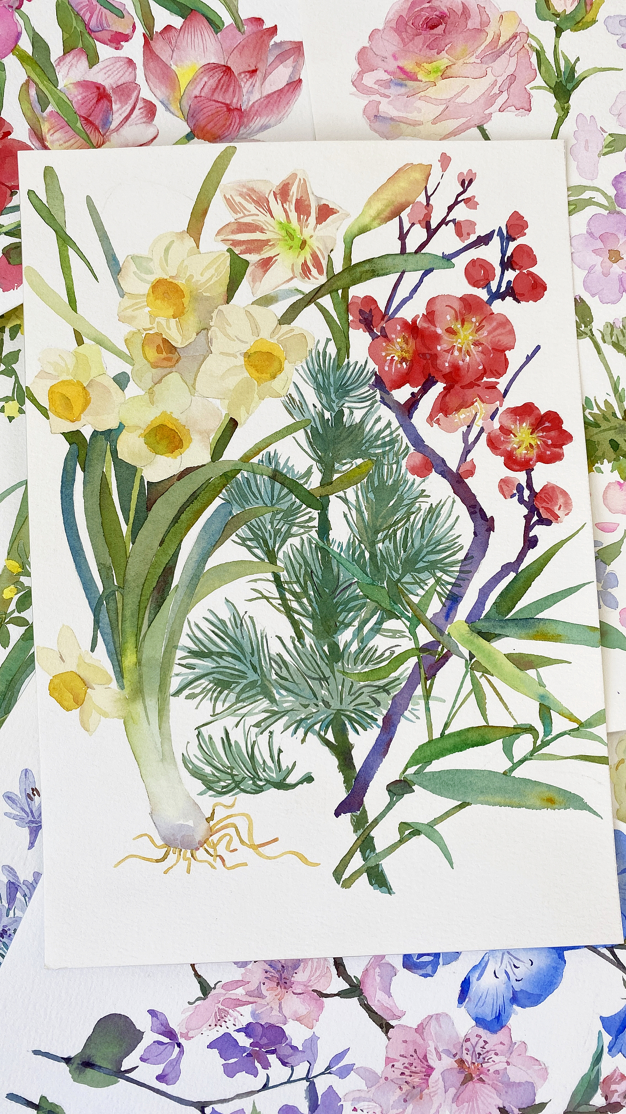 2026花卉月历（图ZMzk5ODc3OTMy） - 绘画 - 站酷设计师微光星星啊原创素材 - 站酷ZCOOL