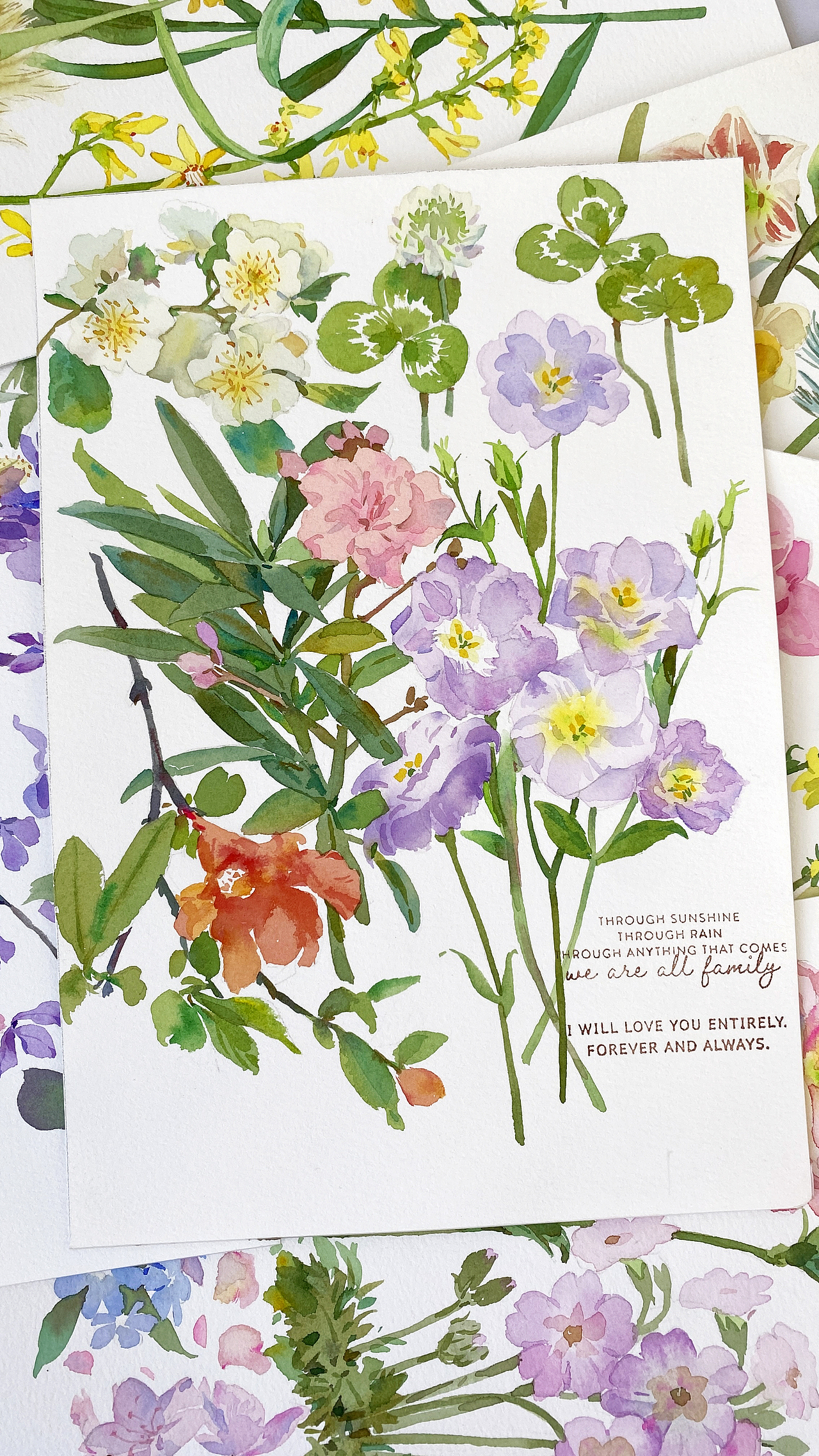 2026花卉月历（图ZMzk5ODc3OTQ4） - 绘画 - 站酷设计师微光星星啊原创素材 - 站酷ZCOOL