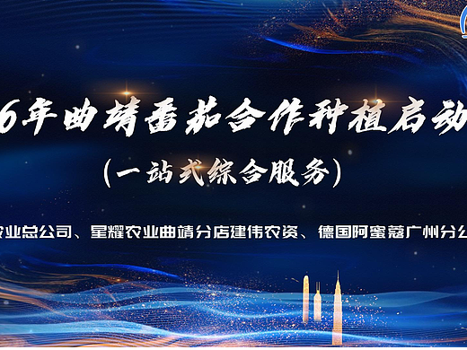 品牌项目重大会议视频制作