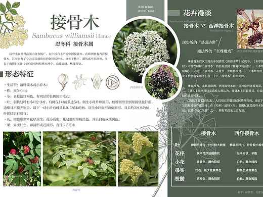 [PS]学生作业美观排版