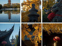 【禅意银杏.龙华寺】2