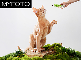 宠物摄影+设计｜蒙小喜营养膏 X MYFOTO PET