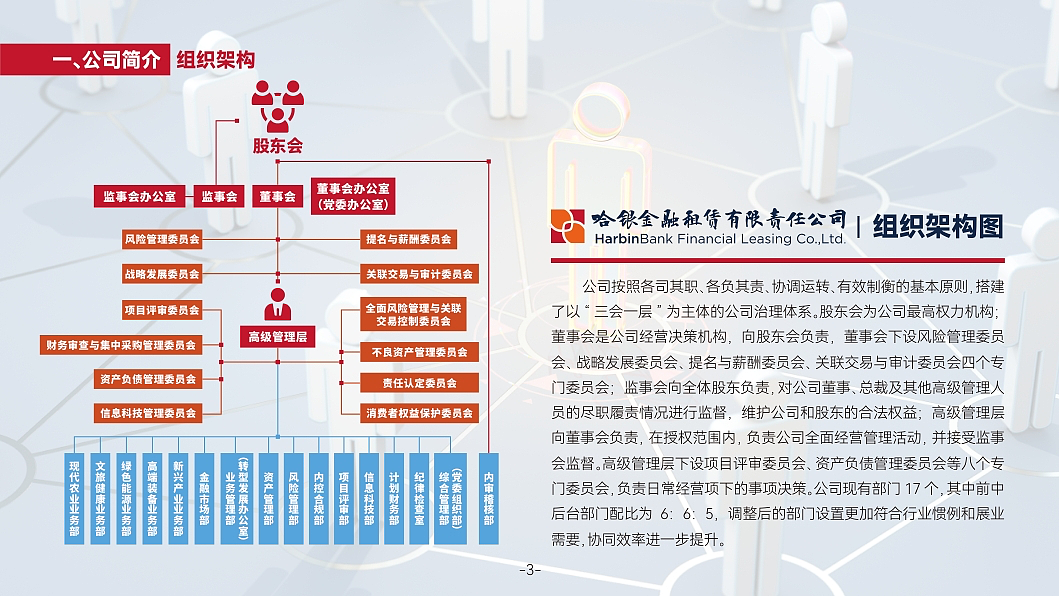 数据可视化/商业PPT美化项目