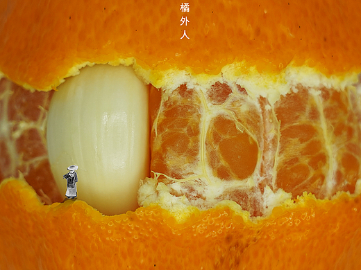 这创意是来搞笑的吧