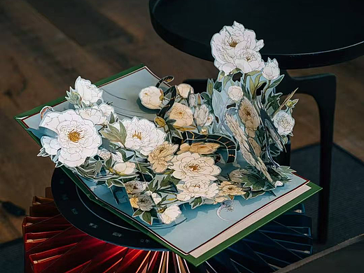 Schön! 杂志手绘