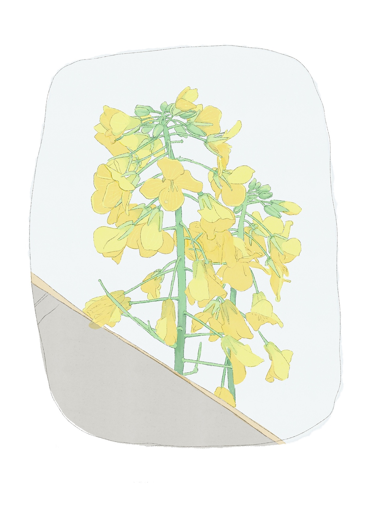 2025年插画作品集（图ZMzk5OTQ4MzQw） - 创作习作 - 站酷设计师画画的暖暖0908原创素材 - 站酷ZCOOL