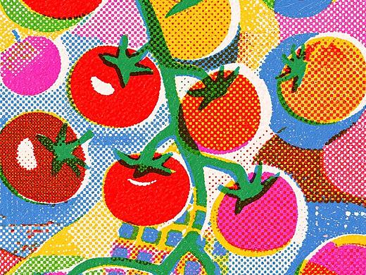 番茄🍅抽象插画