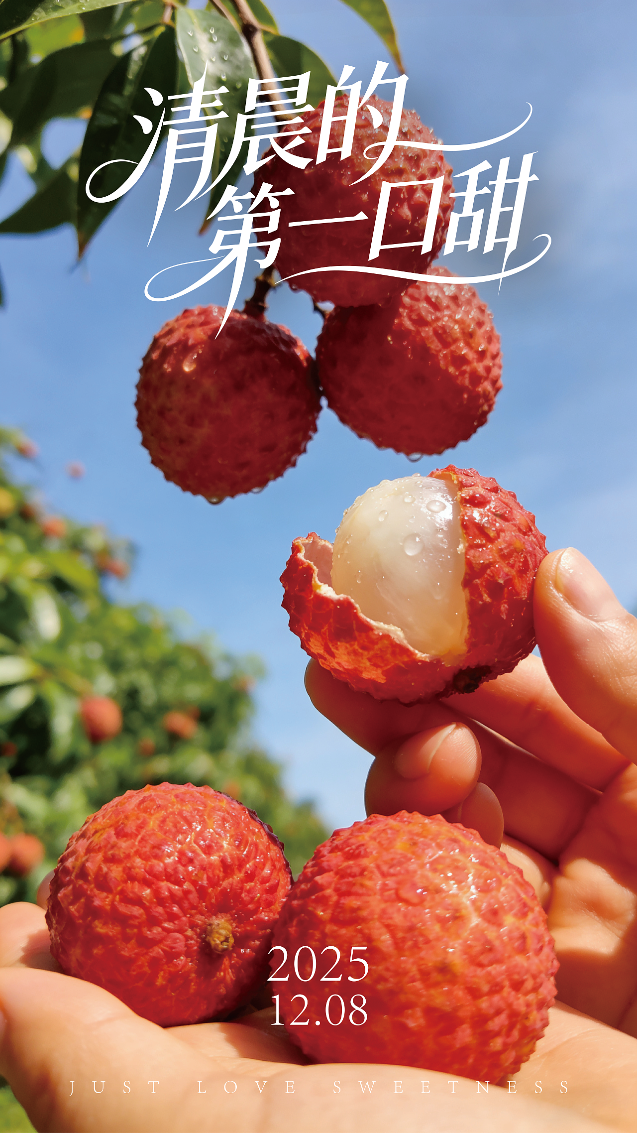 新鲜荔枝水果摄影海报