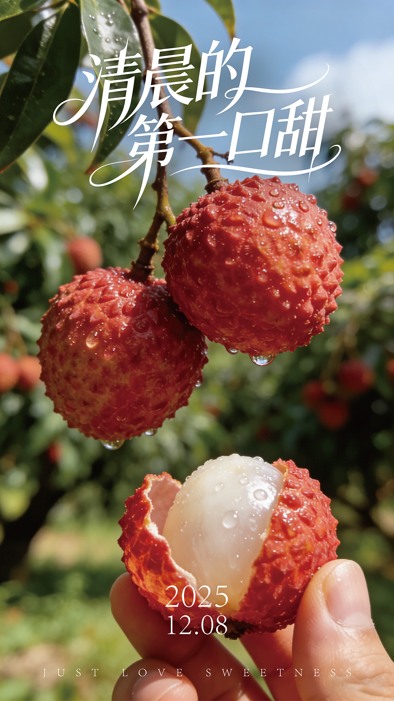 新鲜荔枝水果摄影海报