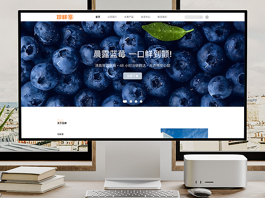 珍鲜享官网——网页设计