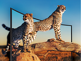 电商页面设计合集