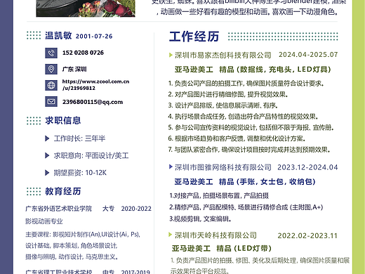 亚马逊美工 简历