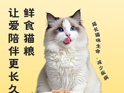 猫粮主图详情
