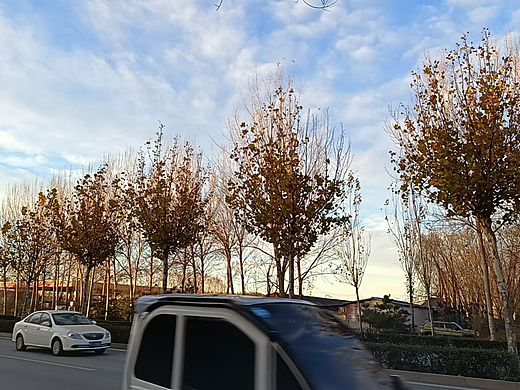 自拍自然风光02