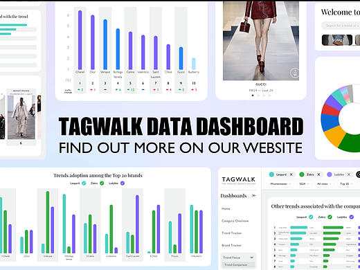 横板tagwalk宣传广告