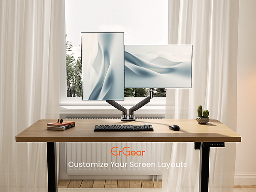 双臂气弹簧显示器支架