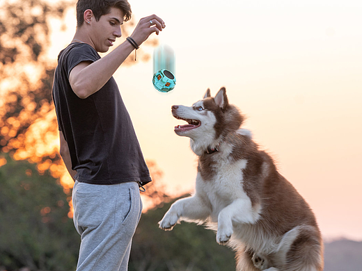 亚马逊主副图设计案例--宠物食盒