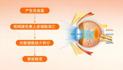 护眼灯哪个牌子更好更专业？推荐学生最适合用的十款台灯，护眼又省心！（图ZMTUzMzA1NDQ=） - 观点 - 站酷设计师Z421155861原创素材 - 站酷ZCOOL