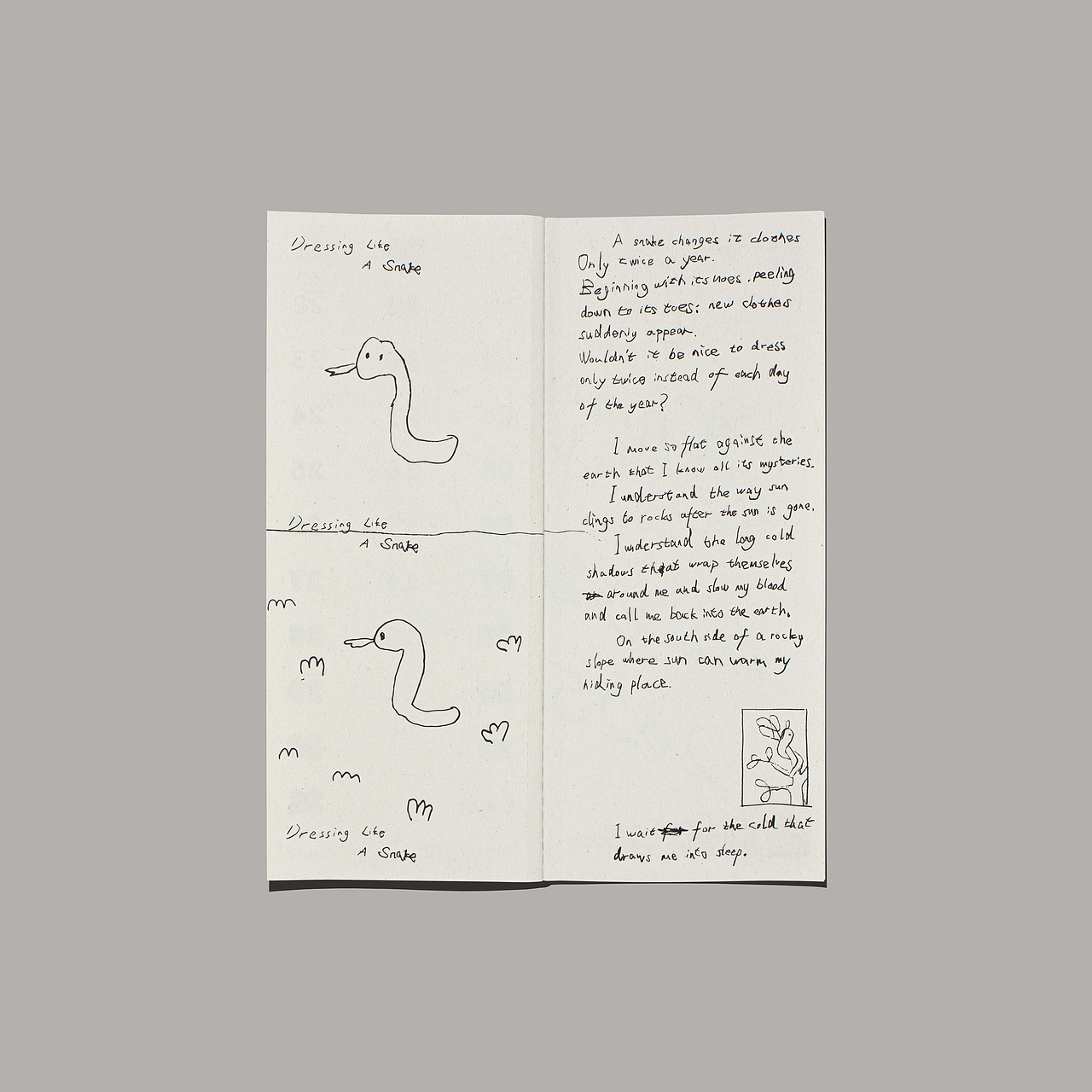 画蛇添福 · Adding Blessings with Snakes