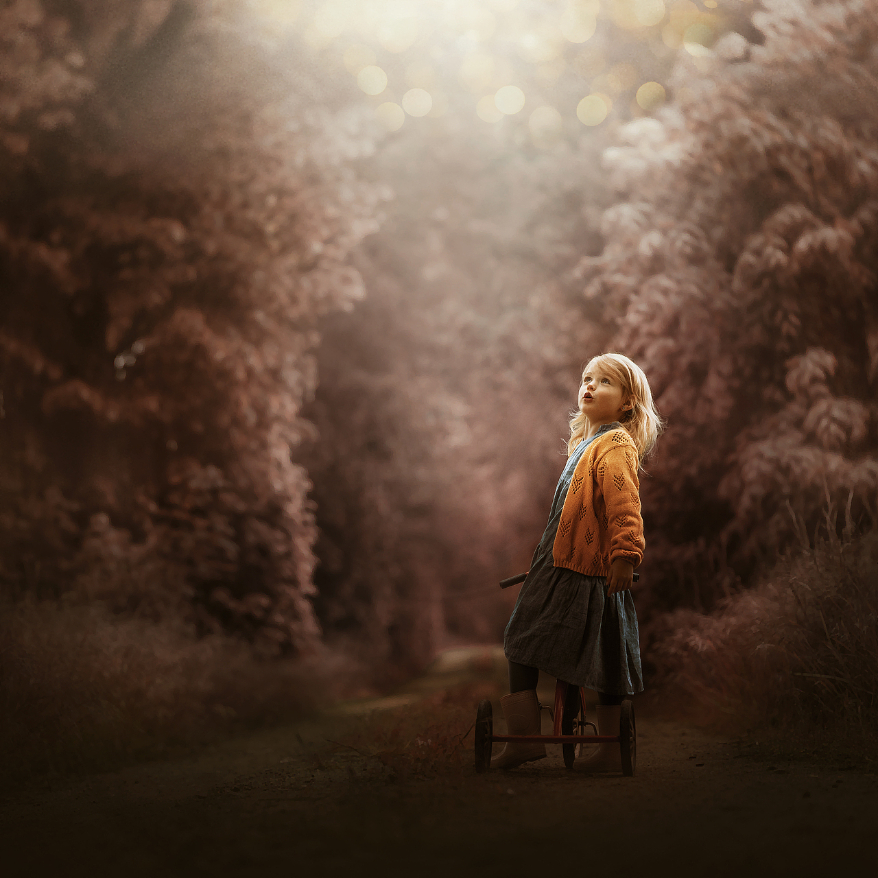 油画风后期作风3-1（图ZNDAwMDc0NzMy） - 其他平面 - 站酷设计师爱摄扬扬原创素材 - 站酷ZCOOL