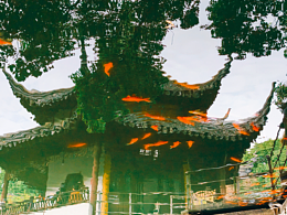 手机摄影|濮院时尚古镇