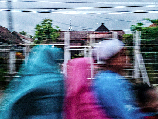 手机摄影/彩色世界-2025