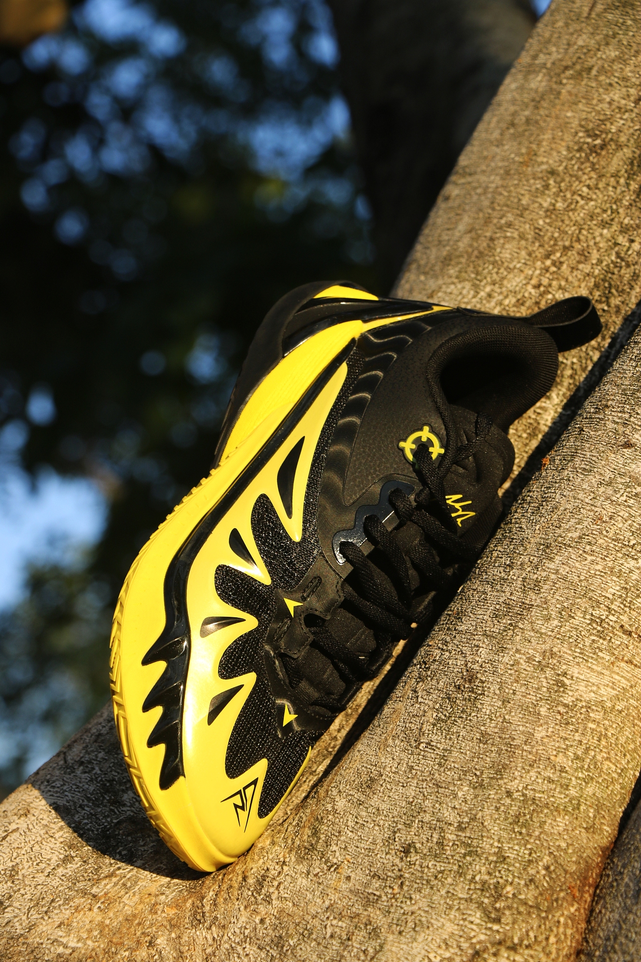 球鞋摄影·里皇的大黄蜂