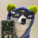 用户头像
