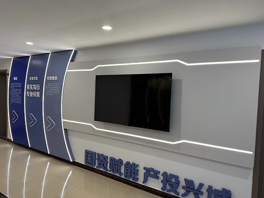 国资最终落地方案实物照片