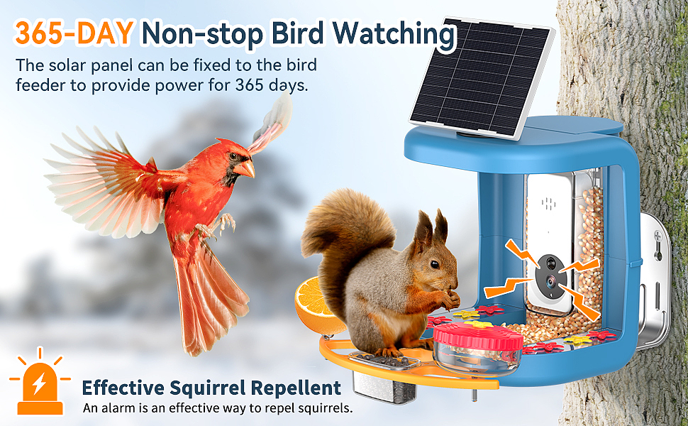 | 渲染案例 | 户外喂鸟器