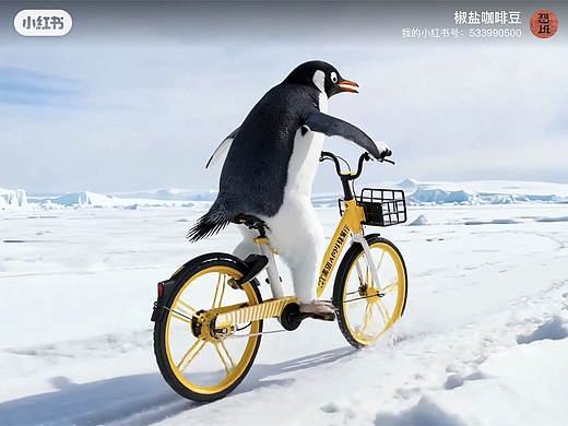 被一只企鹅“教育”了！绿色出行可以这么快乐！🌍🐧