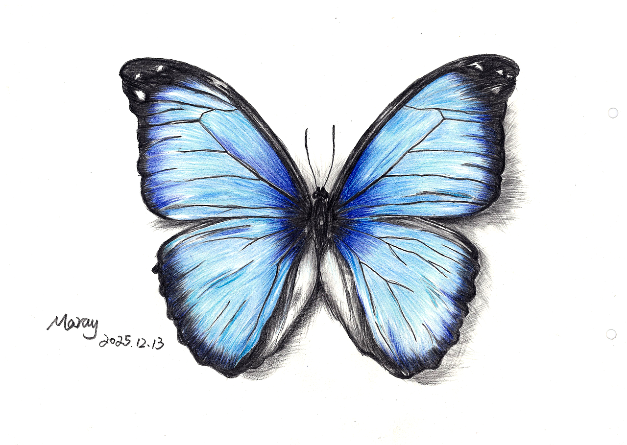 手绘彩铅画（图ZNDAwMTc2OTcy） - 绘画 - 站酷设计师山墩原创素材 - 站酷ZCOOL