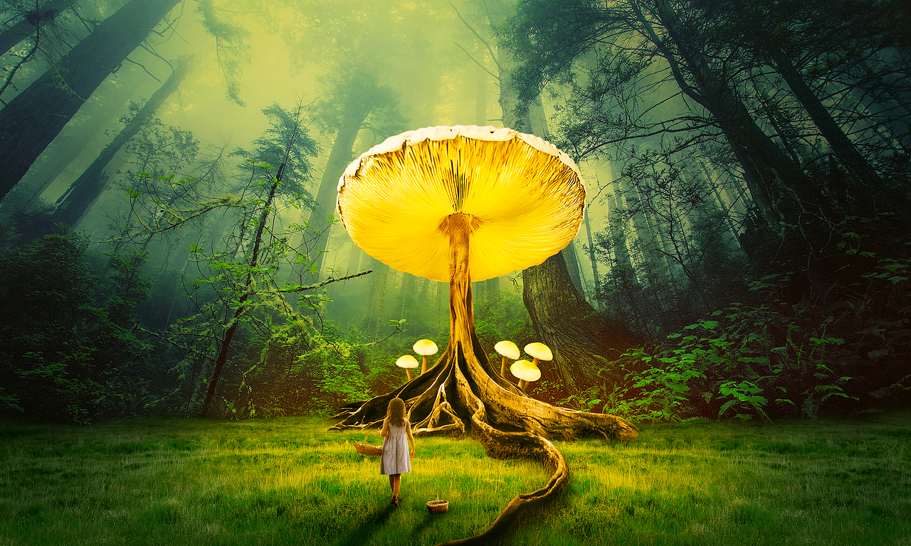 创意合成海报合集(虚幻 / 超现实)