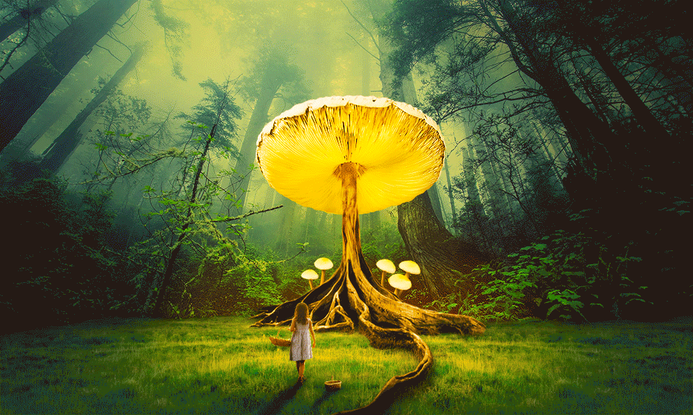 创意合成海报合集(虚幻 / 超现实)